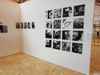 Imagine atasata: art_mcm-30.sept.17-029.jpg
